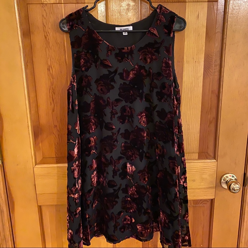 BB Dakota dress with velvet flowers